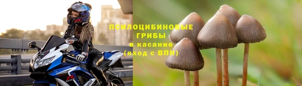соль курить ск Касимов