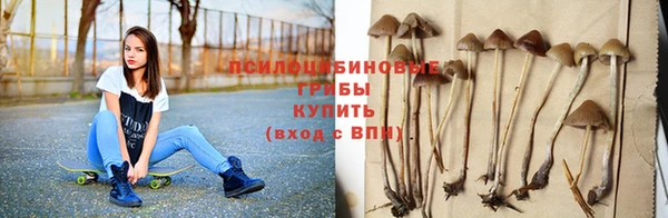 соль курить ск Касимов